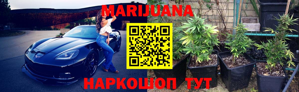 Бошки Шишки Ganja  Марихуана планчик  Бошки Шишки тримм  Вход с VPN  Якутск 